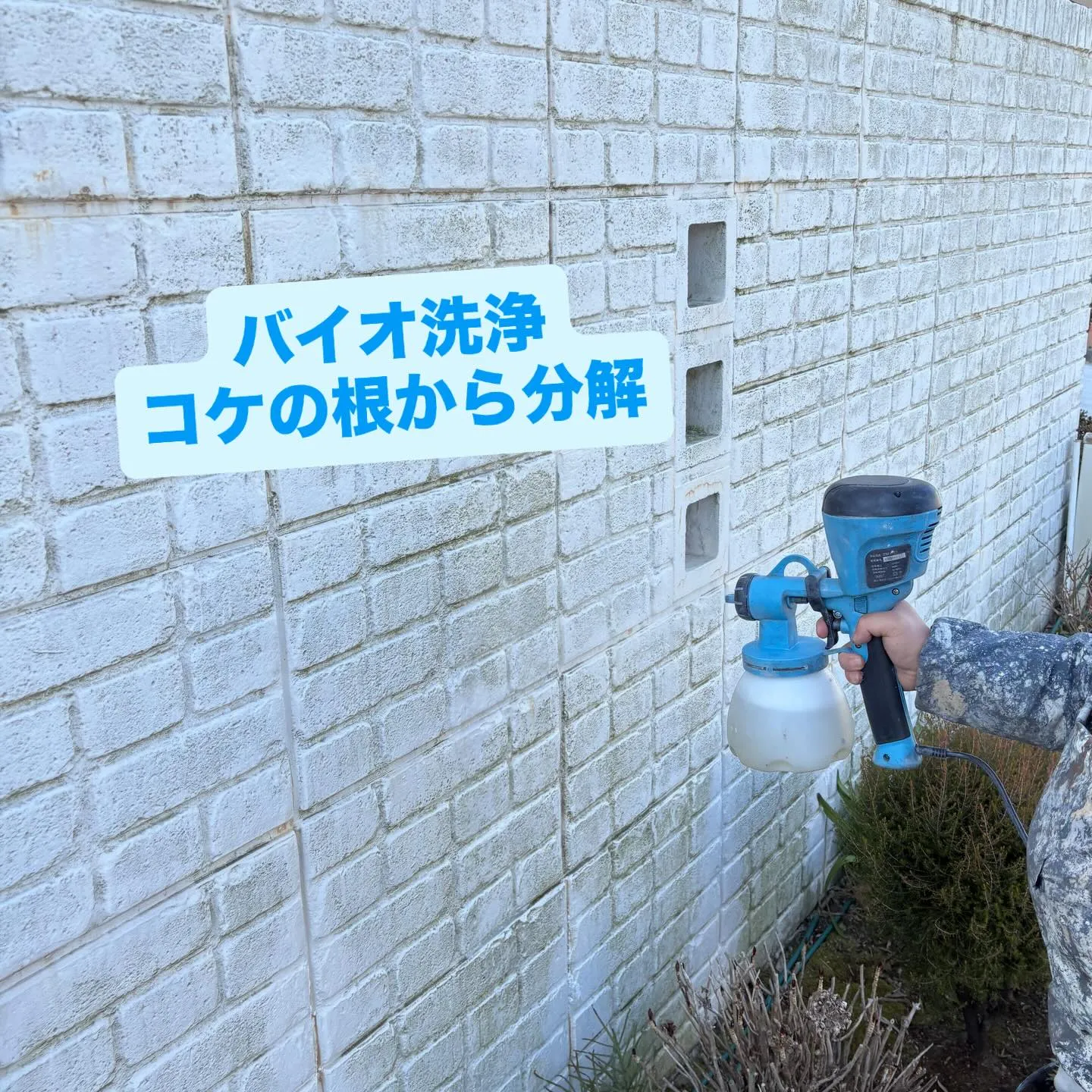 【塀の苔・黒ずみをバイオ洗浄🧼✨】